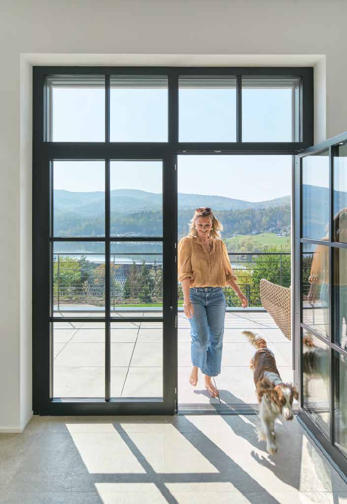 DM Windows aluminum system